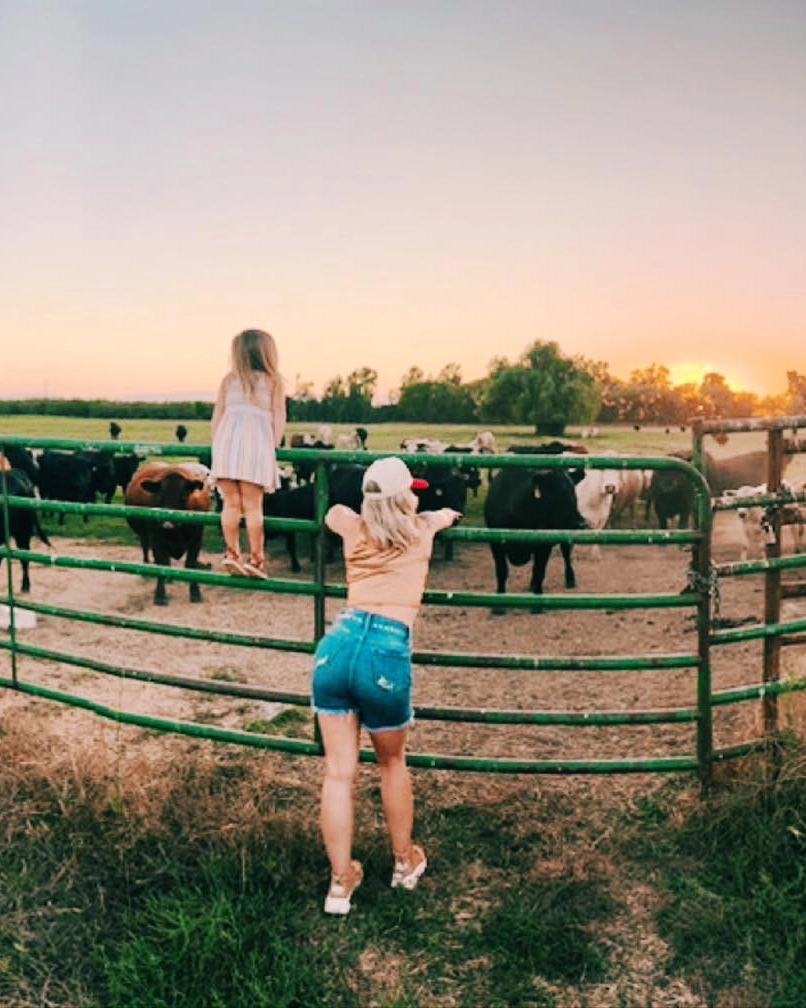 Warm interior atmosphere suggesting home presentation